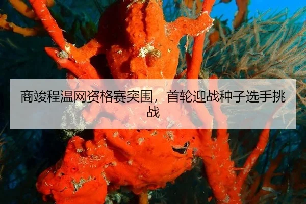 商竣程温网资格赛突围，首轮迎战种子选手挑战