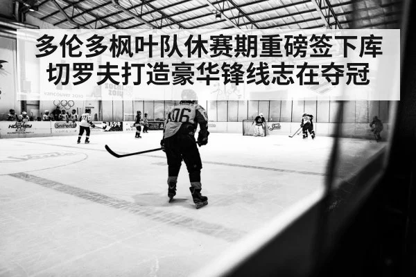 多伦多枫叶队休赛期重磅签下库切罗夫打造豪华锋线志在夺冠