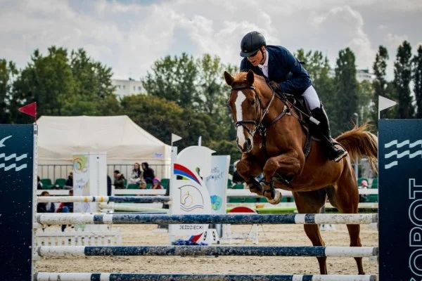 horse show jumping